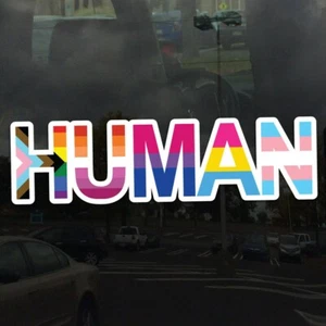 Human Progress LGBTQ+ Flags Rainbow Lesbian Bisexual Vibrant Vinyl Decal Sticker - Picture 1 of 2