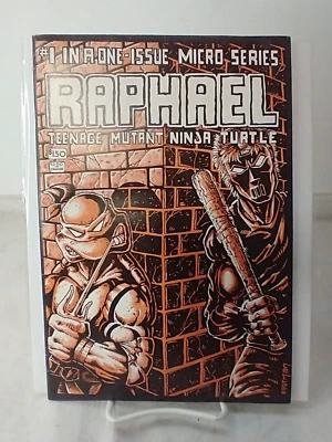 Raphael Teenage Mutant Ninja Turtle Micro-Series TMNT 1st Appearance Casey Jones - Image 1 of 4