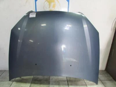 00 01 02 03 04 05 06 07 FORD TAURUS Hood - Image 1 of 4