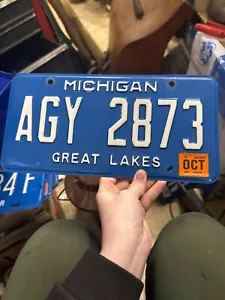 2000s Michigan License Plate AGY 2873 Great Lakes - Picture 1 of 14