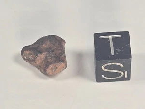 NWA 859 (Taza) Iron ungrouped Morocco/Algeria Found 2001 3.9 g - Picture 1 of 5