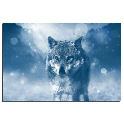  toile tableaux loup animal sauvage  50x70 cm   - Photo 1/3