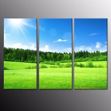 Landscape Canvas Wall Art Prints Green Trees Blue sky Picture Home Decor 3pcs