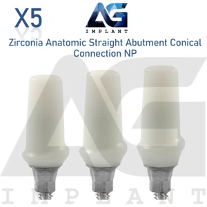 5 Zirconia Anatomic Straight Prosthetic NP Conical Connection With Screw - Picture 1 of 3