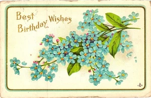 Postal de cumpleaños vintage de 1914 en relieve azul Forget-Me-Not Flowers Milton Maine - Imagen 1 de 2
