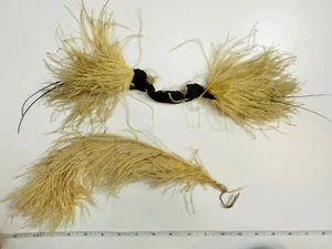 Antique Yellow Millinery Feather Plumes - Picture 1 of 6