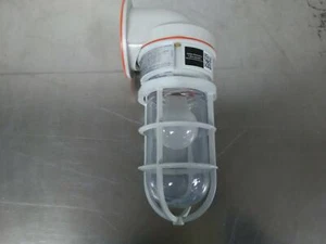 Larson Class 2 Chemical Resistant Compact Fluorescent Light - 26 Watts - Picture 1 of 3
