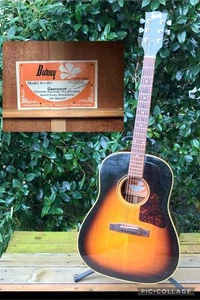 Acoustic Guitar Burny BJ-60 Sunburst with Hard Case - Picture 1 of 10