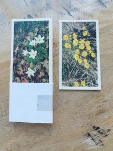 GRANDEE CIGARS BRITAIN'S WILD FLOWERS, Full Set of 30. EXC COND, POST FREE. - Picture 1 of 2