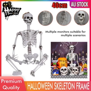 Halloween Human Skeleton Decoration Party Prop GT - Picture 1 of 15