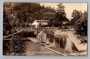 Foto postal real Bonneville Oregon Fish Hatchery Columbia River RPPC 1925-42 - Imagen 1 de 2