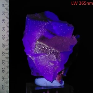 Fluorescent Fluorite cubic crystal cluster color zoned mineral specimen 0.58kg - Picture 1 of 8