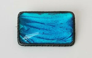 Broche antiguo Thomas L. Mott Bermudas plata esterlina 925 mariposa ala prendedor - Imagen 1 de 11