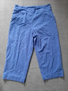 Alia Womens Pants Size 10 P Blue - Picture 1 of 4