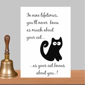 Cat Lovers, Cat Worshipping, Unframed Gift, Print Present - Picture 1 of 2