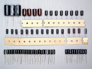 ROLAND RE-301 Echo completo Elko-Kit complete caps recap recap repair kit - Foto 1 di 1