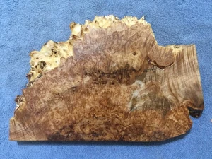 Natural Edge Maple Burl Crafts Woodworking Turning 1 1/8" x 10" x 15" #1823 - Picture 1 of 6