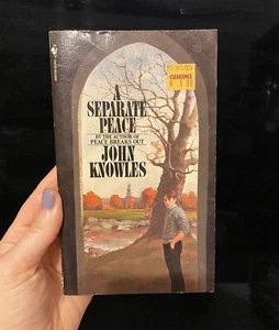 A Separate Peace by John Knowles, Vintage Book - Imagen 1 de 5