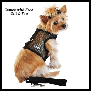 NWT Doggie Design Solid Black Breathable Mesh Harness with Matching Leash S M - Picture 1 of 3
