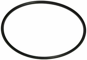 Pentair Hayward W530 W560 In-Line Leaf Trap Canister O-RING AXW542 R172223 - Picture 1 of 2