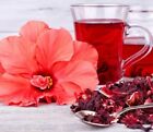Hibiscus Herbal Tea Bags Ice Tea (Unbleached) Premium Quality! FREE P&P