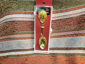 Cuchara de recuerdo de Chicago de colección contorno de edificios altos de la ciudad de Chicago  - Imagen 1 de 5