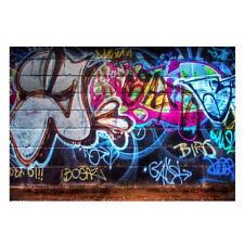 Art Graffiti Wall Photography Background Art Photo Backdrop