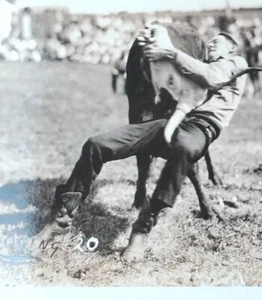 Lote/3 Western RPPC Foto Real Postal Toro/Caballo Montar Bulldog 20 Tarjetas Noko - Imagen 1 de 12