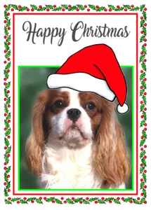 KING CHARLES DOG SANTA HAT QUALITY GLOSSY CHRISTMAS CARD 8"x 6" FREE POST - Picture 1 of 2