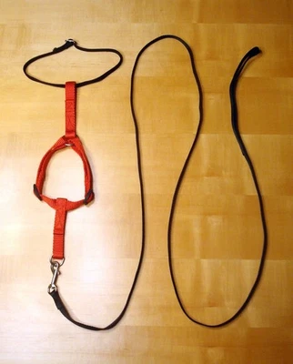 Juego de arnés y correa para gato, cada lado y debajo de la correa son ajustables Foto 1 de 4