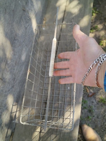 *"VINTAGE FARMHOUSE WIRE BASKET WITH HANDLE AUTHENTIC VERY COOL! ** Cover