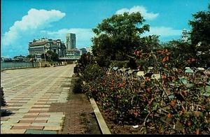 Queen Elizabeth Walk at the Esplanade Park Singapore circa 1960 Photo Postcard - Picture 1 of 2