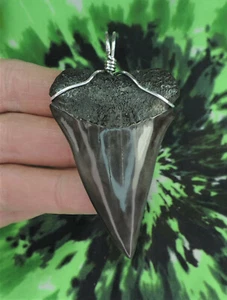 Mako Sharks Tooth Pendant NICE!! NO RESTORATIONS fossil sharks teeth - Picture 1 of 4