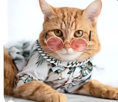 DO&G 12 Inch Dog Collar Cuban Rose Gold Blinged Out