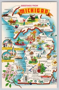 Postkarte Grüße aus Michigan State Karte Flagge Vogel Blume unbesendet JF1.40 - Bild 1 von 2