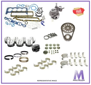 GM Chevy 307 V8 5.0 Marine Engine Overhaul Rebuild Kit Oil Pump Pistons STD Rot - Picture 1 of 3
