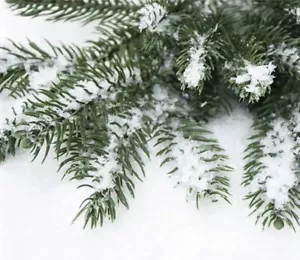 Snow Powder Artificial Christmas Instant Fake Decoration Fluffy Gallons White - Picture 1 of 6