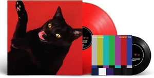 Ryan Adams - Big Colors 2021 EU Red Vinyl LP + 7" Single Neu - Bild 1 von 1