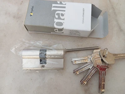 NEUF CYLINDRE DE SECURITE DE SERRURE DE PORTE LEGALLAIS  30 X 30 - Photo 1/4