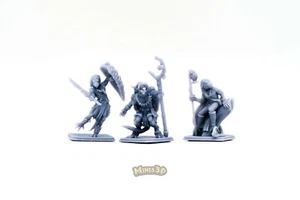 Draconian: Ranger, Wizard, Warrior - HQ- Minis3D - Imagen 1 de 14