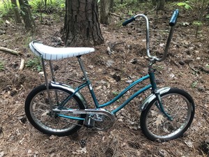 Las mejores ofertas en Bicicletas Sears Vintage | eBay