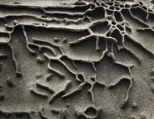 1964 Vintage EDWARD WESTON Rock Sand Beach Erosion Pattern Abstract Photo Art - Picture 1 of 1