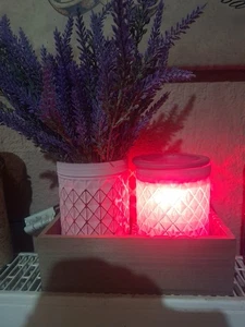 Scentsy Lavender Boutique - Bild 1 von 6