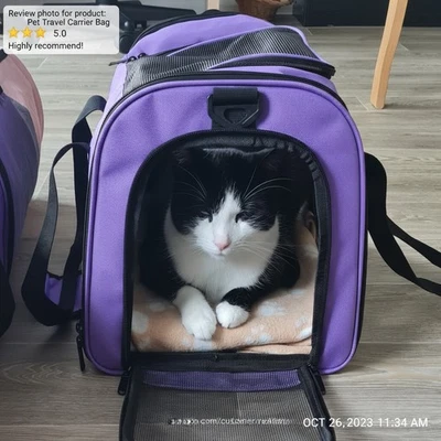 Katzentransportbox Hundetransporttasche faltbar  Tragetasche - Bild 1 von 4