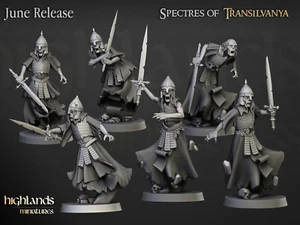 Wraith Unit, Undead Army Wargames Fantasy RPG D&D Skeleton Warrior Miniature - Picture 1 of 14
