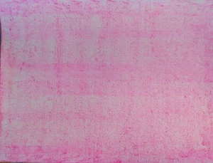 Blossom's Embrace: "Fuchsia Dream" / Dry Then Wet / Matthew Natale - Bild 1 von 2