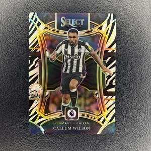 Panini Select 2023/24 Callum Wilson Zebra/25 Newcastle United - Imagen 1 de 2