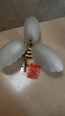 Ceiling light Brass 3 Frosted Leaf shaped Flush mount light, with Hardware - Image 1 of 4