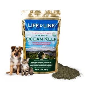 Organic Ocean KELP 1.5 LB - Picture 1 of 5