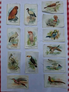 Godfrey Philips silk birds - Picture 1 of 1